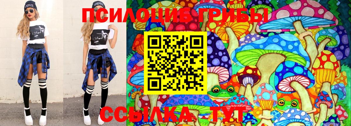 Керчь  Псилоцибиновые грибы Psilocybe  Галлюциногенные грибы мухоморы  Вход с VPN 